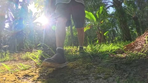 Wearing exercise sneaker Stock Footage 340484695