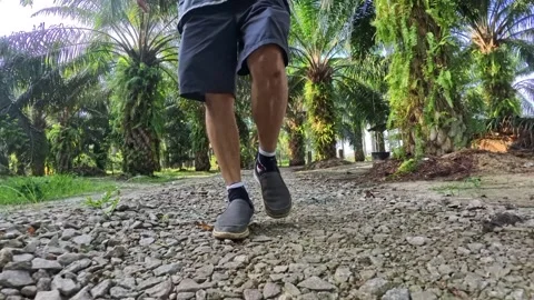 Wearing exercise sneaker Stock Footage 340484706