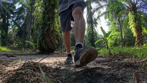 Wearing exercise sneaker Stock Footage 340484712