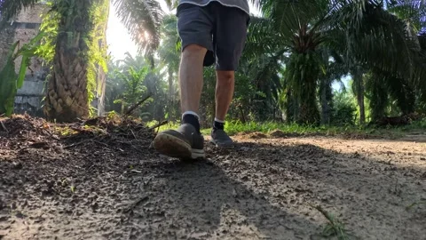 Wearing exercise sneaker Stock Footage 340484748