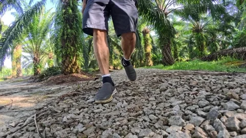 Wearing exercise sneaker Stock Footage 340484749