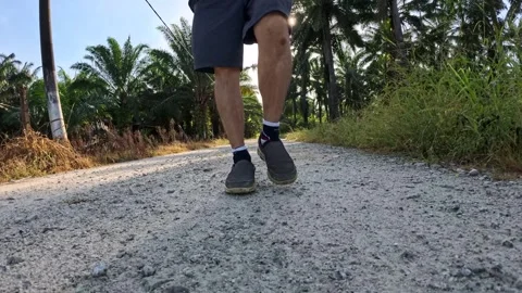 Wearing exercise sneaker Stock Footage 340484787