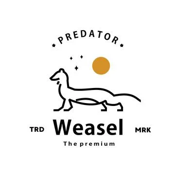 Weasel logo vector outline monoline art icon Stock Illustration