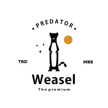 Weasel logo vector outline silhouette art icon Stock Illustration