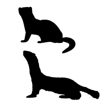 Weasel Silhouette Vector Art Stock Illustration