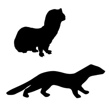 Weasel Silhouette Vector Art Stock Illustration