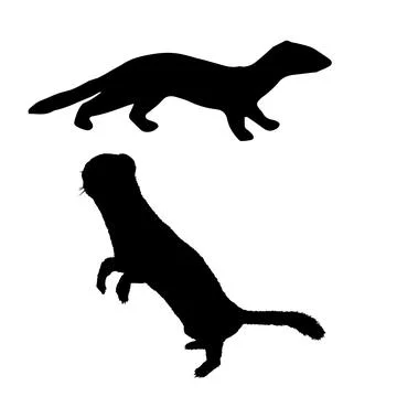 Weasel Silhouette Vector Art Stock Illustration
