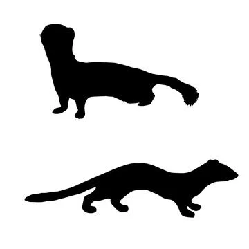 Weasel Silhouette Vector Art Stock Illustration