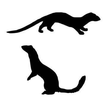 Weasel Silhouette Vector Art Stock Illustration