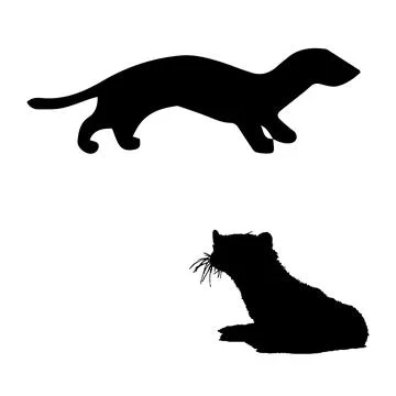 Weasel Silhouette Vector Art Stock Illustration