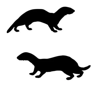 Weasel Silhouette Vector Art Stock Illustration