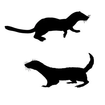 Weasel Silhouette Vector Art Stock Illustration