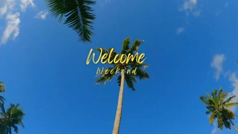 Weather! Coconut Tree Branches Move in the Wind Stock Footage 232968991