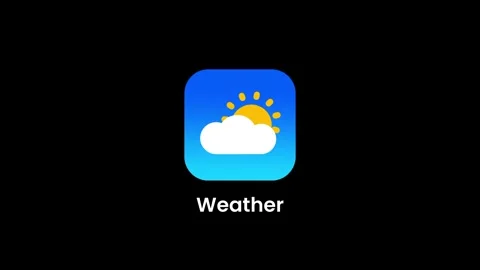 Weather Daily Forecast App Stock Footage 334471173