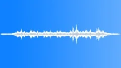 Weather Emergency Sirens Sound Effect