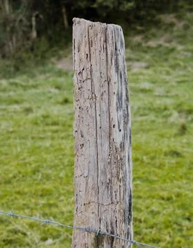 Weather eroded post Stock Photos
