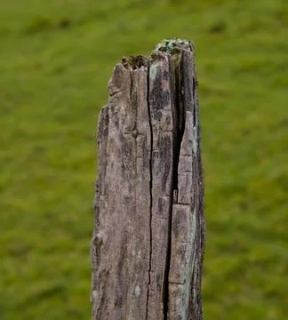 Weather eroded post Stock Photos