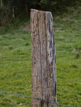 Weather eroded post Stock Photos