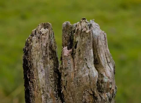 Weather eroded post Foto stock