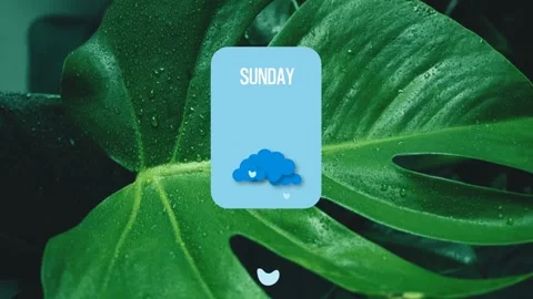 Weather Forecast Titles for After Effects Stock After Effects