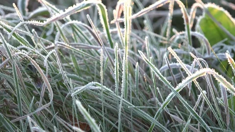 Weather Forecasting or First Day of Winter Stock Footage 97688141