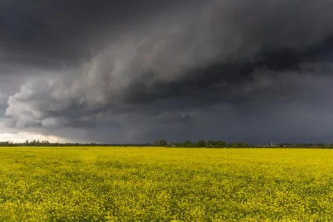 A weather front rolls in across rapeseed fields in Lechlade, Gloucestershire, Stock Photos