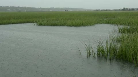 Weather in the salt marsh Stock Footage 161183710