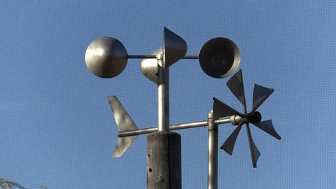 Weather station instruments on old tree trunks in city park Stock Footage 118251644