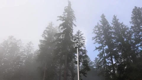 Weather station sensor with wind vane stands tall among misty conifer trees meas Stock Footage 318220076