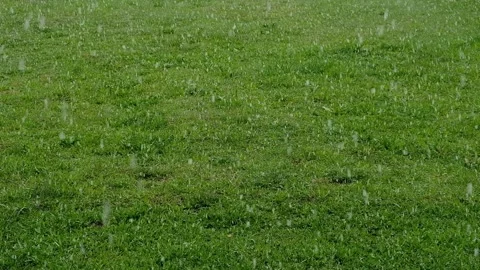 Weather surprises. May snowfall is falling on green grass. Slow motion. Stock Footage 195148250