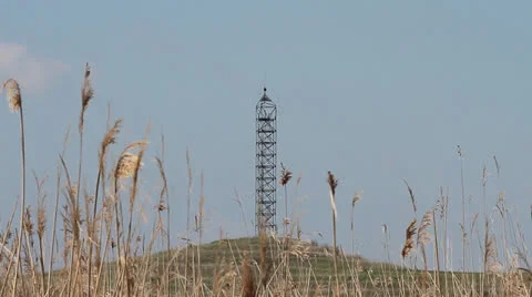 Weather tower, reed in the wind 動画素材 22601946