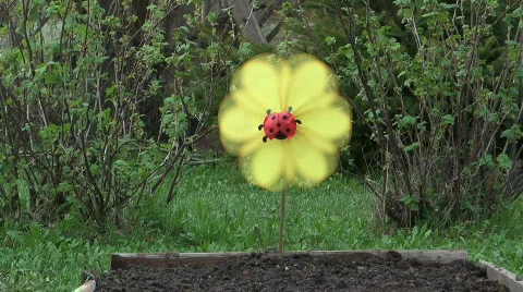 Weather-vane Stock Footage 710874