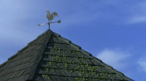 Weather vane Stock Footage 875703