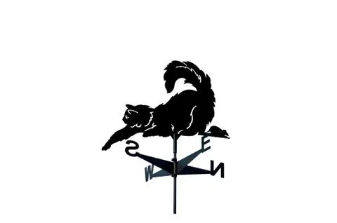 Weather vane Stock Photos