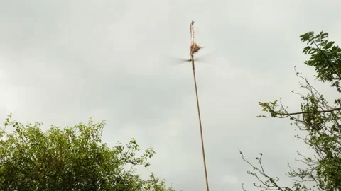 Weather vane rotates because wind on small farm Stock Footage 155874682