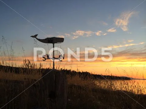 Weather vane at sunset Stock Photos