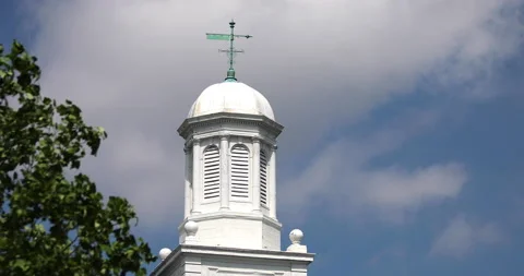 Weather Vane On Top Of Dome Stock-Footage 223776309