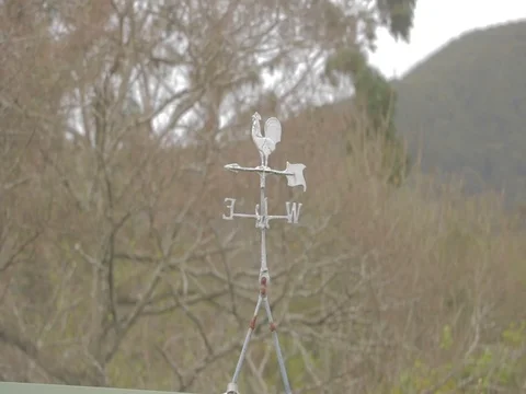 Weather Vane Turning On Windy Day. Stock Footage 80746984