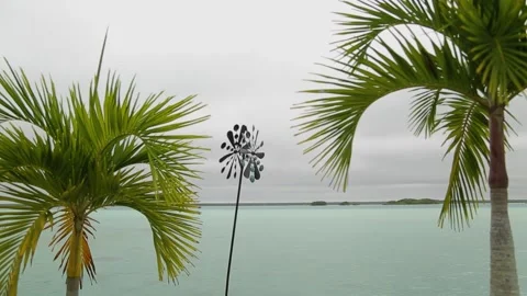 Weather vane wind propeller totating in different sides green palms milky ocean Stock Footage 204864210