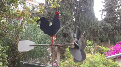Weathercock Stock Footage 12623496