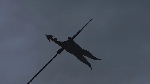 Weathercock Stock Footage 75265363