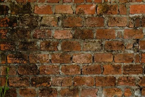 Weathered aged brick wall Stock Photos