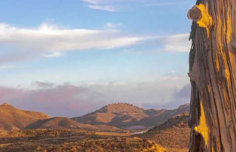 Weathered beam of a former mining derrick with mountains in the background Stock Photos