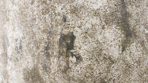 Weathered beige wall featuring dirty marks, scratches, and worn paint textu.. Stock Photos