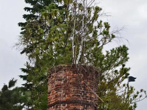 Weathered Brick Chimney Covered In Moss. Abandoned Farmhouse Chimney Surrou.. Fotos de archivo