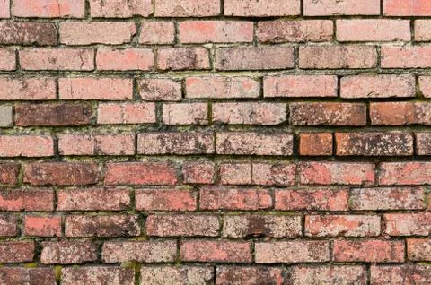 Weathered brick wall for background Stock Photos