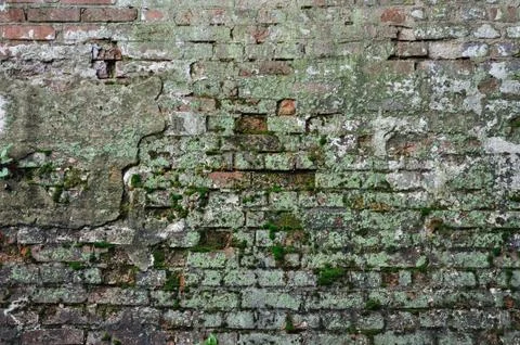 Weathered brick wall Stock Photos
