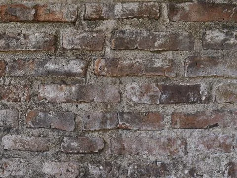 Weathered Brick Wall 库存照片
