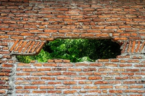 A weathered brick wall with a rectangular hole, revealing lush green foliag.. Stock Photos