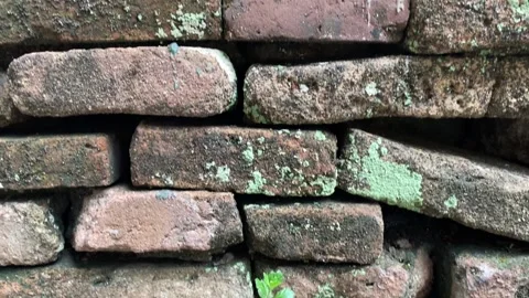 Weathered brick wall showing rough surface texture and aged rustic details Stock Footage 313476067